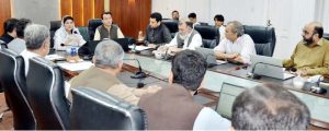 نگار جوہر محکمہ صحت کے اجلاس کی صدارت کرتے ہوئے