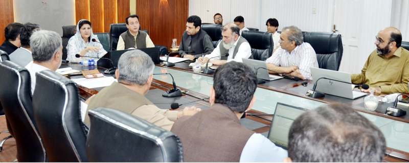 نگار جوہر محکمہ صحت کے اجلاس کی صدارت کرتے ہوئے